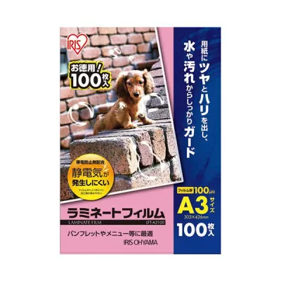 【クーポン配布中】(まとめ)アイリスオーヤマ ラミネートフィルム A3 100枚LFT-A3100【×2セット】
