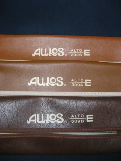 【メール便・送料無料】【AULOS(アウロス)】アルトリコーダー用ソフトケース 209B,309A,509B
