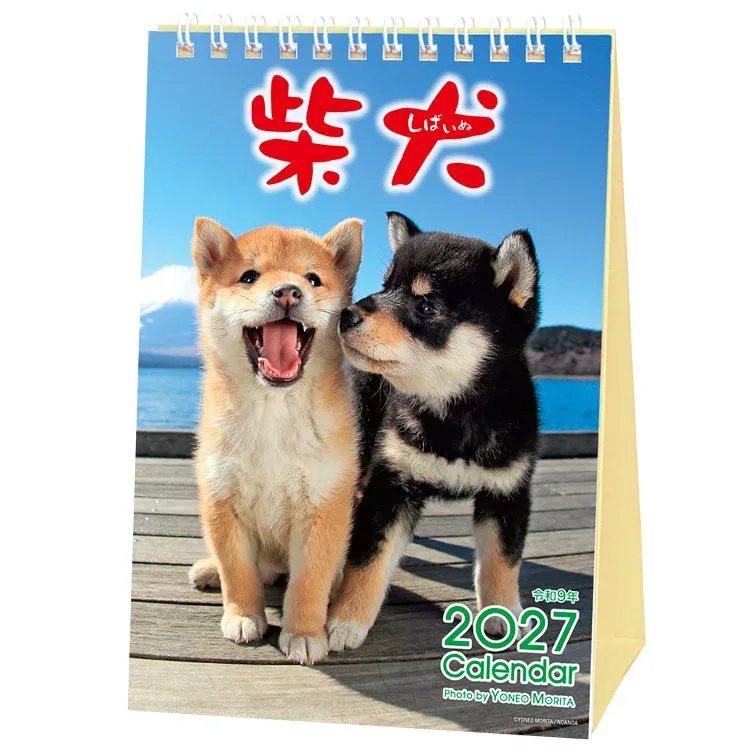 森田米雄・まるごと柴犬 27ACL-543