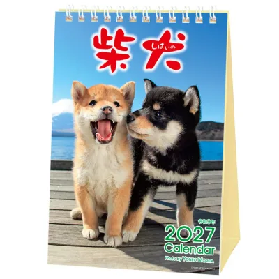 森田米雄・まるごと柴犬 27ACL-543
