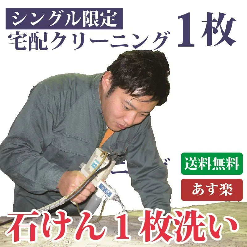 布団クリーニング 布団丸洗い シングルサイズ限定コース1枚【送料無料※一部地域除く】お引越先へお届け可能 ダニカビも除去します 毛布・枕・座布団も♪ トコジラミ対策