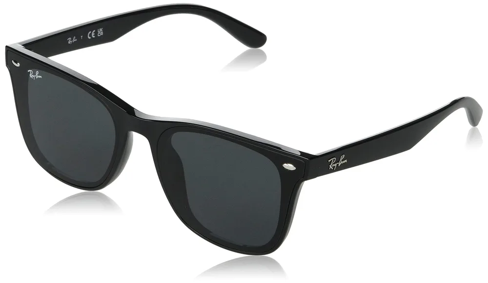 Ray-Ban (レイバン) サングラス RB4391D 601/87 BLACK (ブラック) 65 アジアンフィット