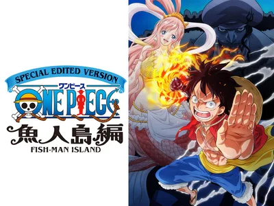 SPECIAL EDITED VERSION 『ONE PIECE』魚人島編