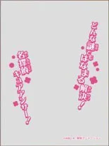 Character Over Sleeve Star Detective Precure! Cure Answer (ENO-101) Pack