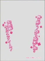 Character Over Sleeve Star Detective Precure! Cure Eclair (ENO-103) Pack