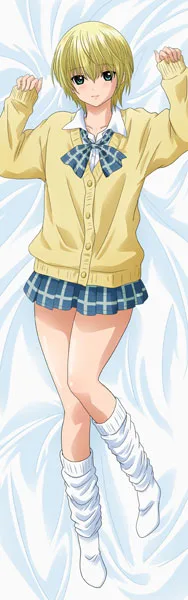 Strawberry 100% New Illustration Premium Hugging Pillow Cover Tsukasa Nishino