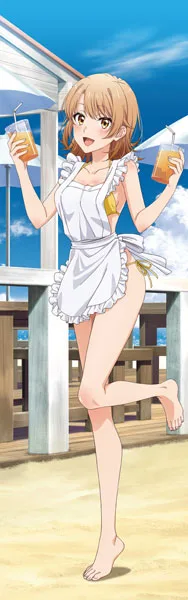 My Teen Romantic Comedy SNAFU. Completion New Illustration Premium Hugging Pillow Cover Iroha Isshiki (Beach Hut Ver.)