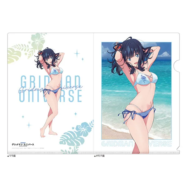 GRIDMAN UNIVERSE New Illustration Clear File (Rikka Takarada / Swimsuit)