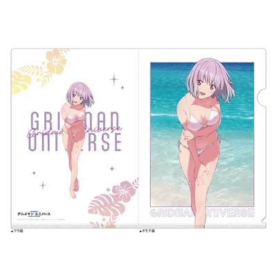 GRIDMAN UNIVERSE New Illustration Clear File (Akane Shinjo / Swimsuit)