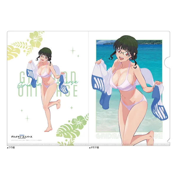 GRIDMAN UNIVERSE New Illustration Clear File (The 2nd / Swimsuit)