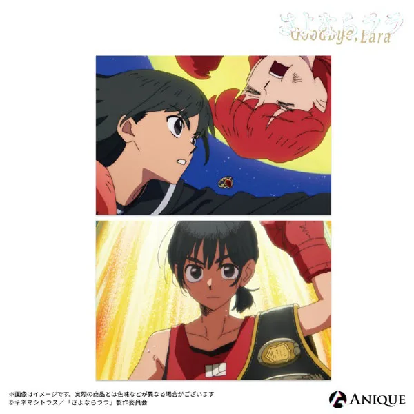 TV Anime "Goodbye, Lala" Scene Photo Postcard 2pcs. Set Mari Otsu