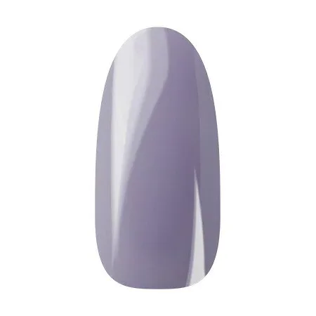 【10/14 20時〜50%OFFクーポン配布】Ann Professional 【公式】カラージェル052 パステルパープル