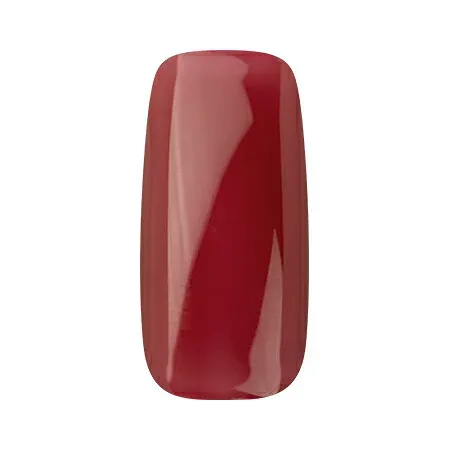 【10/14 20時〜50%OFFクーポン配布】Ann Professional 【公式】カラージェル161 シロップダークレッド