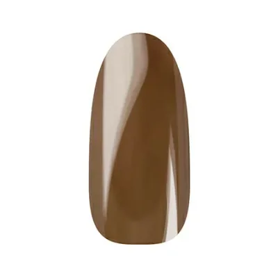 【23日20時〜50%OFFクーポン配布】Ann Professional 【公式】カラージェル150 キャメル