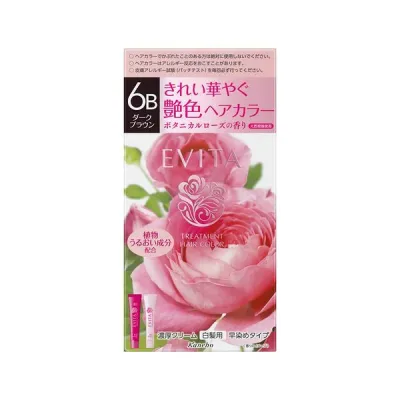 【医薬部外品】(株)カネボウ化粧品 エビータ トリートメントヘアカラー 6B ダークブラウン