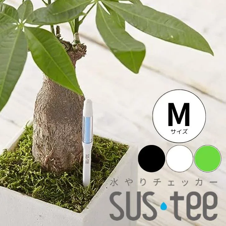 キャンペーン中【サスティー Mサイズ シングルパック(個包装)】sustee グリーン ホワイト ブラック 5〜6号鉢用 水やりチェッカー 植物 水分計 観葉植物 盆栽にも
