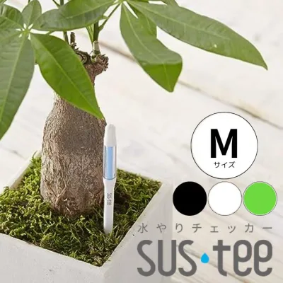 キャンペーン中【サスティー Mサイズ シングルパック(個包装)】sustee グリーン ホワイト ブラック 5〜6号鉢用 水やりチェッカー 植物 水分計 観葉植物 盆栽にも