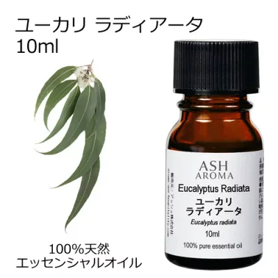 ユーカリラディアータ 10ml アロマオイル エッセンシャルオイル アロマ 天然 植物由来 AEAJ認定 やさしいウッドハーブの香り ASH AROMA