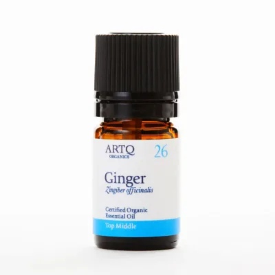 【ジンジャー】 アロマオイル 精油 エッセンシャルオイル Ginger 100%天然精油 5mL アロマティーク ARTQ ORGANICS