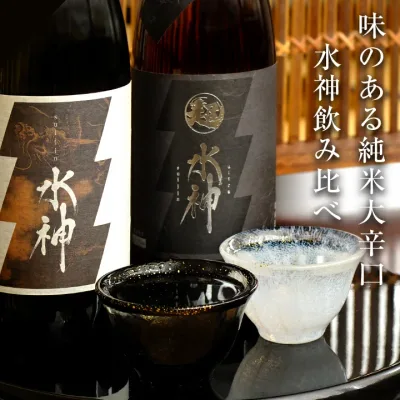 敬老の日 まだ間に合う 純米大辛口 水神 日本酒 飲み比べセット720ml×2本~1800ml×2本 送料無料 あさ開 日本酒 お酒 誕生日プレゼント 父の日 父の日ギフト