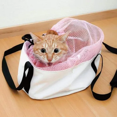 特価 キャリーバッグ キャットバッグ 猫 ネコ バッグ ( ペット ペットキャリー 巾着 )