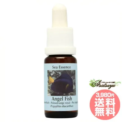 エンジェルフィッシュAngelfish コルテPHIエッセンス シーエッセンス フラワーエッセンス