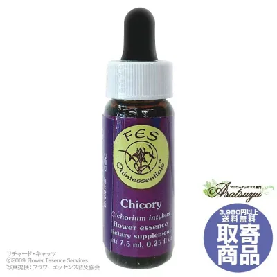 チコリー(7.5ml) Chicory FESフラワーエッセンス リサーチバッチ 取り寄せ キャンセル不可 フラワーエッセンス