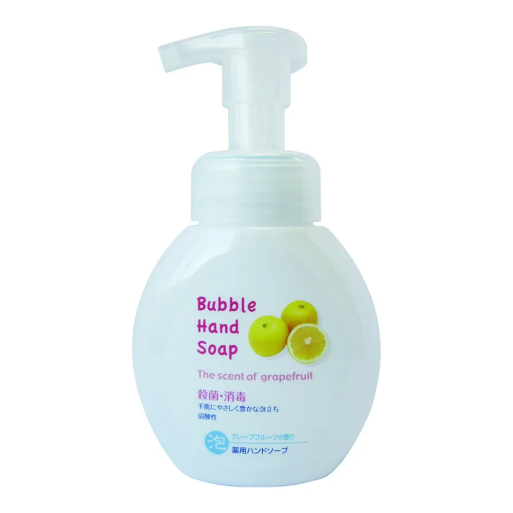 【送料込・まとめ買い×5個セット】第一石鹸 薬用 泡 ハンドソープ 本体 250mL 医薬部外品