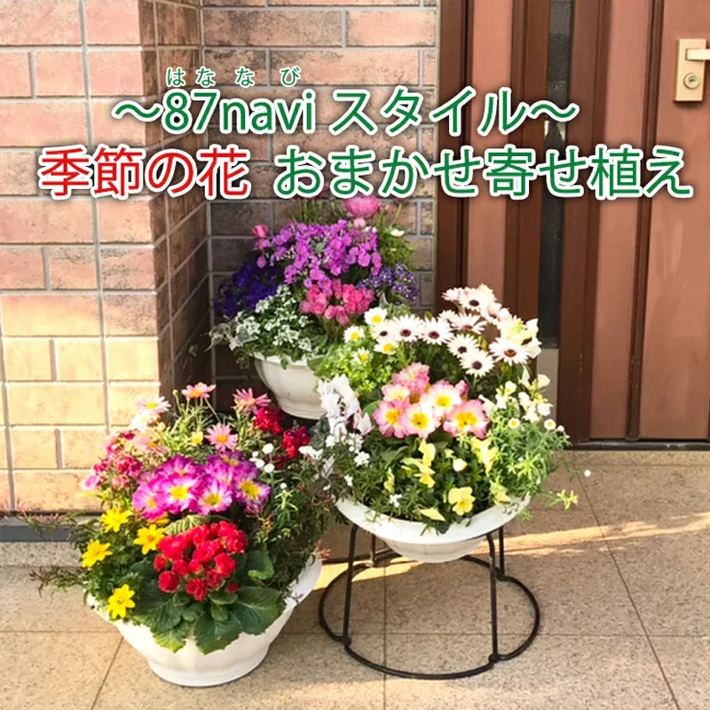 【誕生日】 おしゃれ ボリューム感 ◎ Lサイズ「大人気 季節の花 おまかせデザイナー 寄せ植え8から9株」センスのいい ギフト 夏 花 プレゼント 宿根草含 玄関 入門 初心者 安心 配置図 説明書付 鉢花 鉢植え 花苗 アレンジメント フラワー 良苗 お祝 7月 8月 9月 贈答