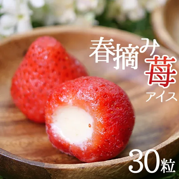ギフト アイス 2026 残暑見舞い いちご 送料無料 スイーツ 冷凍 プレゼント 冷凍いちごアイス アイスギフトセット れんにゅう入りいちご 30粒入り かご風バッグ 個包装 苺 詰め合わせ 内祝い お祝い 御礼 プチギフト