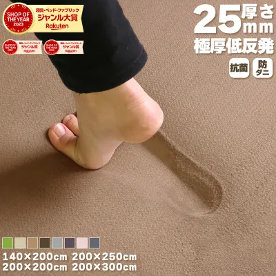 【5%オフクーポン!】 ラグ 低反発 極厚25mm 140×200cm 200×200cm 200×250cm 200×300cm 厚手 滑り止め ラグマット マット カーペット ホットカーペット対応 リビング 秋 冬 おしゃれ 北欧 フリーリー