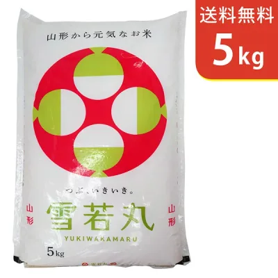 【送料無料】令和7年産 山形県産 雪若丸 5kg 庄内産【smtb-TD】【saitama】
