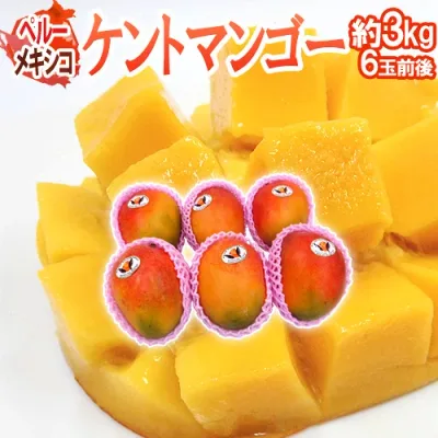 ”ペルー・メキシコ産 ケントマンゴー” 大玉6玉前後 約3kg 航空便【予約 11月中下旬以降】 送料無料