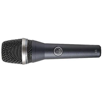 AKG ( アーカーゲー ) / C5 コンデンサーマイク夏休みセール