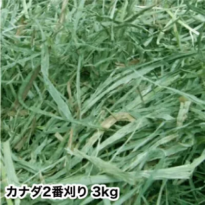 ウサギ 牧草 チモシー うさぎ 2025年産新刈り入荷 カナダ二番刈りチモシー 3kg うさぎモルモット チンチラ テグーウサギ エサ モルモット フード 兎 モルモット 格安 うさぎ 用品うさぎの牧草 楽天 市場 楽天 市場 牧草 super202606 TM