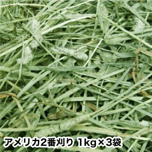 2025新刈り入荷 ウサギ 牧草 チモシー うさぎ 【送料無料】アメリカ二番刈りシングルプレス1kgx3 モルモット、チンチラ、テグーに ティモシー 餌 フード ウサギ エサ 牧草 うさぎの牧草 楽天市場 牧草 楽天 市場 牧草 super202606 TM