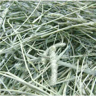 ウサギ 牧草 チモシー うさぎ 2025新刈り入荷 【送料無料】アメリカ 産 1番刈り チモシーシングルプレス 1kg x5袋 ウサギ エサ モルモット フード 兎 モルモット 牧草 格安 うさぎ 用品うさぎの牧草 楽天市場 牧草 楽天 市場 楽天 市場 牧草 super202606 TM
