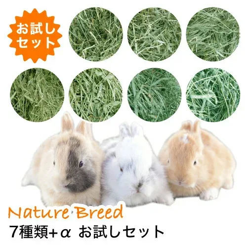 ウサギ 牧草 チモシー うさぎ 土日祝も出荷 【あす楽】【送料無料】チモシーだけで7種類のお試し牧草セット おためし バイキング 牧草ジプシー ティモシー アメリカ産 カナダ産 国産 北海道産 うさぎ ウサギ 兎 兔 ラビット モルモット ヤギ 敷き藁に 子ウサギ