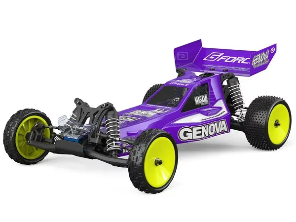 【送料無料】 ジーフォース 1/10 GENOVA Carpet Edition 2WD Buggy kit 電動R/C組立キット GK201