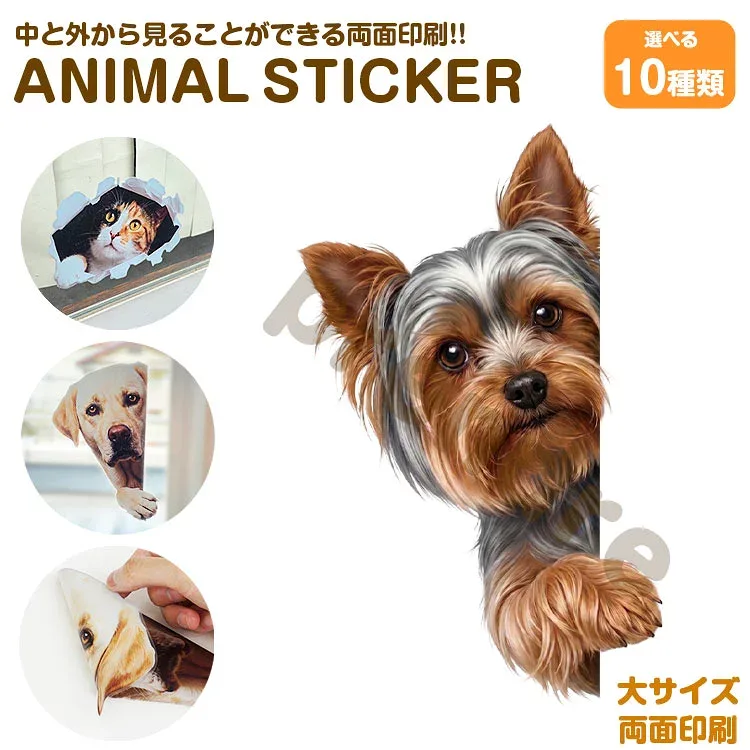ステッカー かわいい リアル シール 両面印刷 ヨークシャーテリア 覗き込む犬 アニマル ウォールステッカー インテリアシール ガラス 装飾 シール