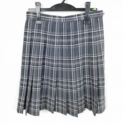 スクールスカート 夏物 w66-丈55 チェック 東京恩方中学 プリーツ 学生服 制服 女子 中古 HK7927