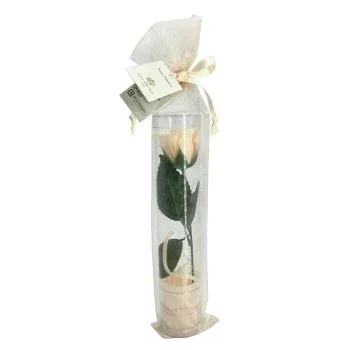 【暮らしラクラク応援セール】Blessed Flower フラワーソープ WH(ミルキーローズ)【取り寄せ・返品不可商品】