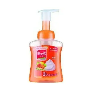 ミューズ 泡ハンドソープ フルーティフレッシュ 本体 250mL 【正規品】【mor】【ご注文後発送までに2週間以上頂戴する場合がございます】
