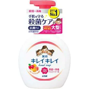 【10個セット】 キレイキレイ 薬用泡ハンドソープ フルーツミックスの香り 本体 大型サイズ 500mL ×10個セット 【正規品】