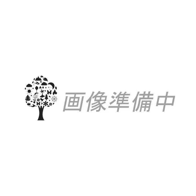 香水 LALIQUE ノワールプレミア テール アロマティック (チューブサンプル) EDP・SP 1.8ml 【送料無料】【フレグランス ギフト プレゼント 誕生日 ユニセックス・男女共用】【ノワールプレミア NOIR PREMIER TERRES AROMATIQUES EAU DE PARFUM SPRAY】