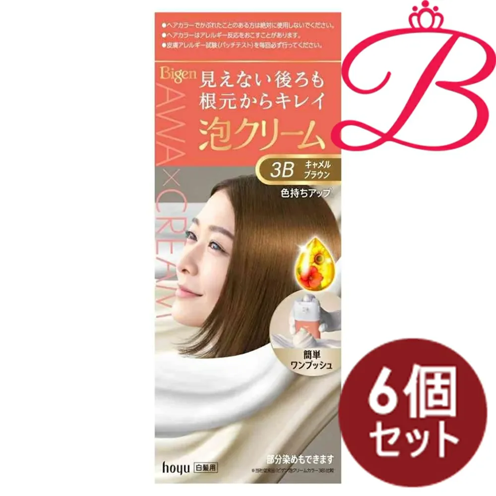 【6個セット】ビゲン 泡 クリームカラー 3B キャメル BR