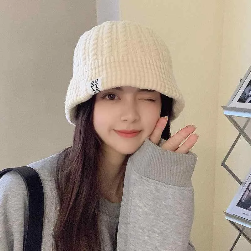 帽子 女性用 秋冬 韓国 インスピレーション 百搭 コールドハット 冬季 保暖 耳当て ビッグシルエット ニット帽 男女兼用 毛糸 暖か 軽量 伸縮性 グレー ブラック ベージュ 通勤用 普段使い アウトドア