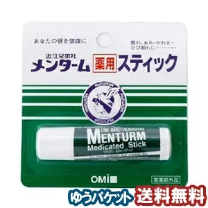 メンターム 薬用スティック レギュラー 4g メール便送料無料