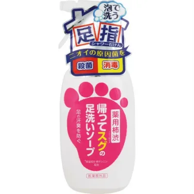 マックス 帰ってスグの足洗いソープ 250ml 【5個セット】(4902895040740-5)
