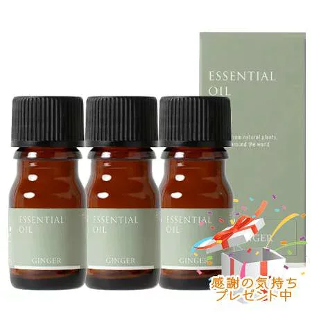 Tree of life 生活の木 エッセンシャルオイル ジンジャー 精油 3mL 3個セット プレゼント付 ※外箱折りたたむ場合がございます※